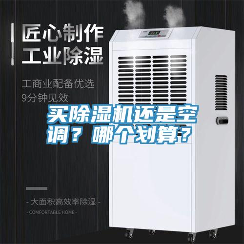 買除濕機還是空調?哪個劃算?