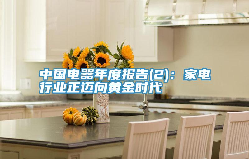 中國電器年度報告(2):家電行業正邁向黃金時代
