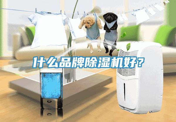 什么品牌除濕機(jī)好?