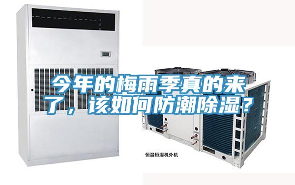今年的梅雨季真的來了，該如何防潮除濕？