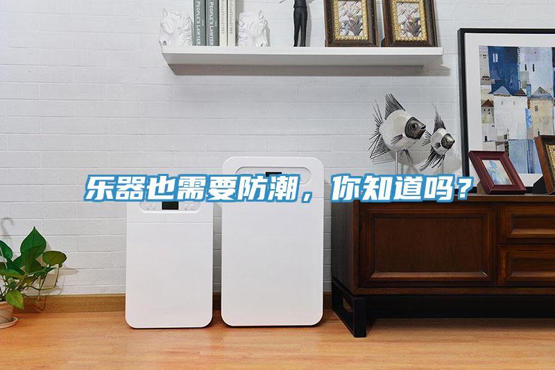 樂器也需要防潮，你知道嗎？