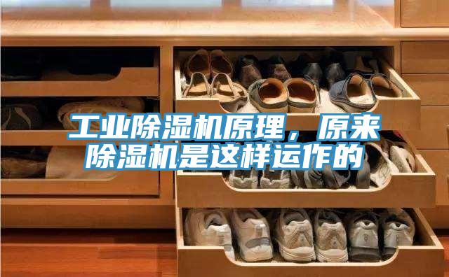工業(yè)除濕機(jī)原理,原來(lái)除濕機(jī)是這樣運(yùn)作的