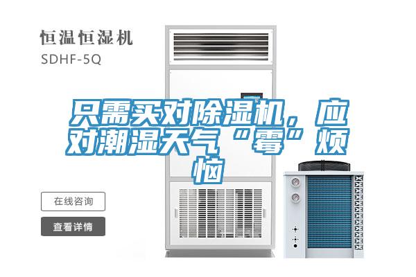 只需買對除濕機,應對潮濕天氣“霉”煩惱