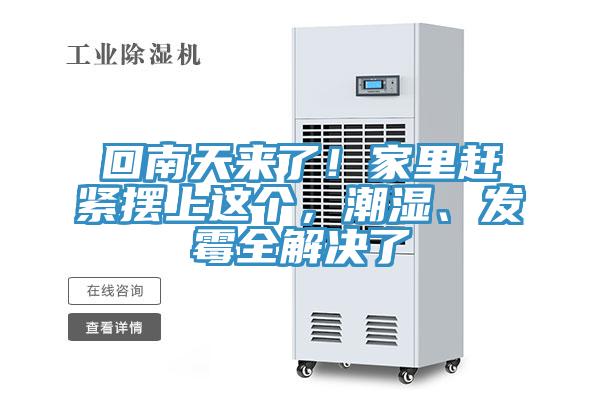 回南天來了！家里趕緊擺上這個，潮濕、發霉全解決了