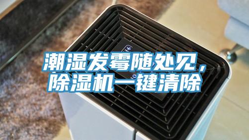 潮濕發霉隨處見,除濕機一鍵清除
