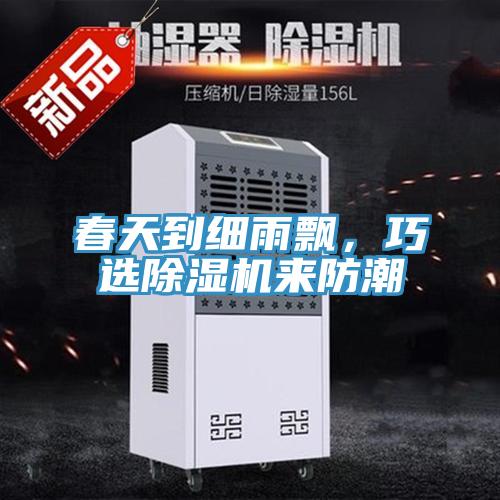 春天到細雨飄，巧選除濕機來防潮
