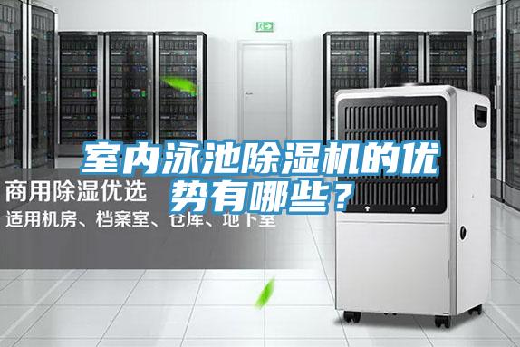 室內泳池除濕機的優勢有哪些？