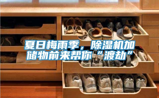 夏日梅雨季,除濕機(jī)加儲物前來幫你“渡劫”