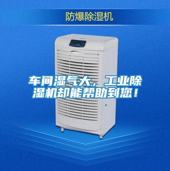 車間濕氣大，工業除濕機卻能幫助到您！