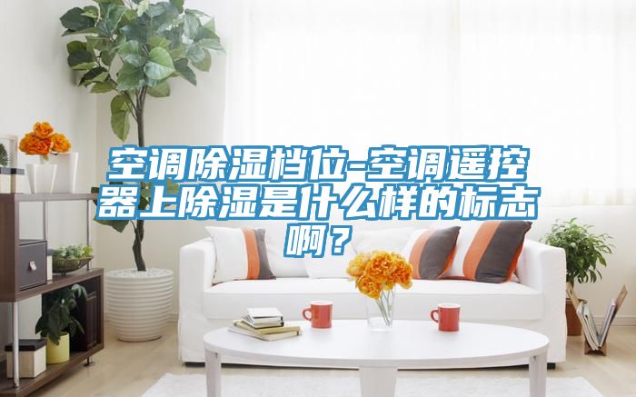 空調除濕檔位-空調遙控器上除濕是什么樣的標志啊?