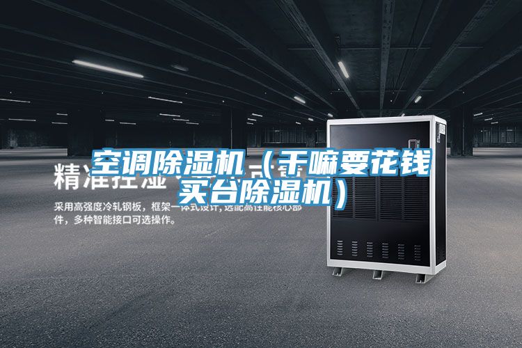 空調(diào)除濕機(jī)(干嘛要花錢買臺(tái)除濕機(jī))