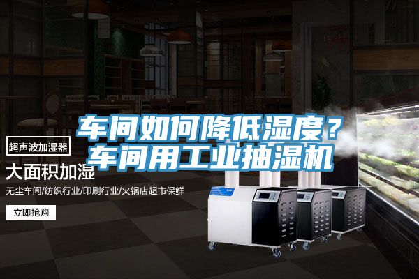 車間如何降低濕度?車間用工業(yè)抽濕機