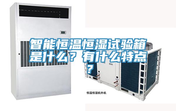 智能恒溫恒濕試驗箱是什么?有什么特點?