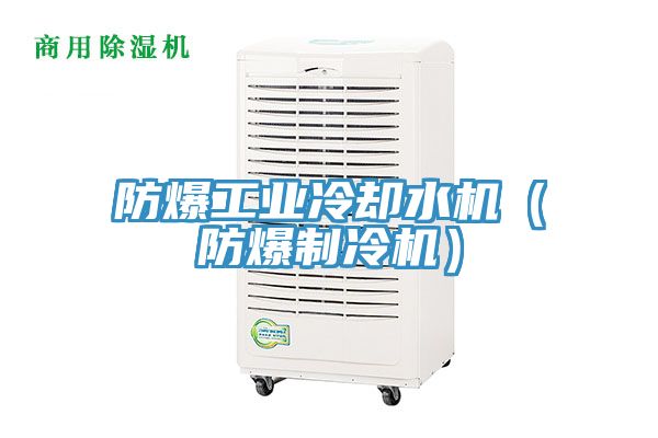 防爆工業冷卻水機(防爆制冷機)