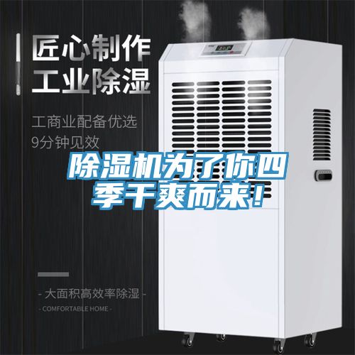 除濕機為了你四季干爽而來！