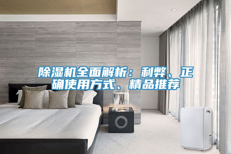 除濕機全面解析：利弊、正確使用方式、精品推薦