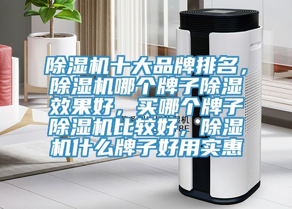 除濕機(jī)十大品牌排名,除濕機(jī)哪個牌子除濕效果好,買哪個牌子除濕機(jī)比較好,除濕機(jī)什么牌子好用實惠