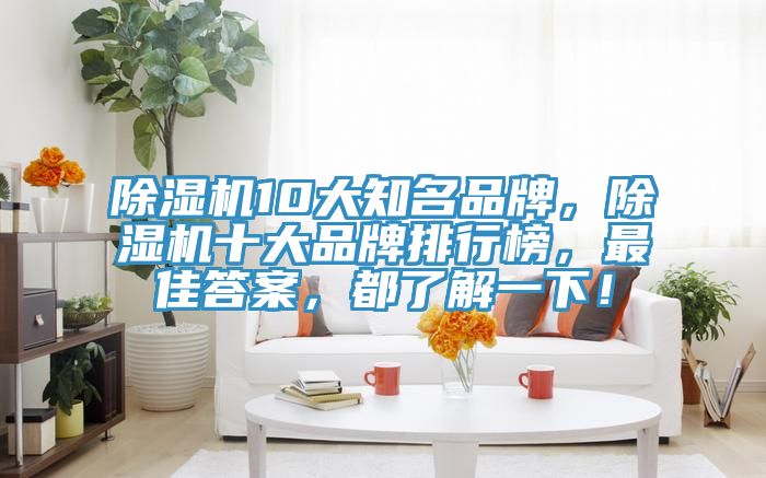 除濕機10大知名品牌，除濕機十大品牌排行榜，最佳答案，都了解一下！