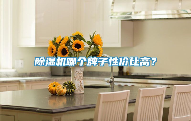 除濕機(jī)哪個牌子性價比高?