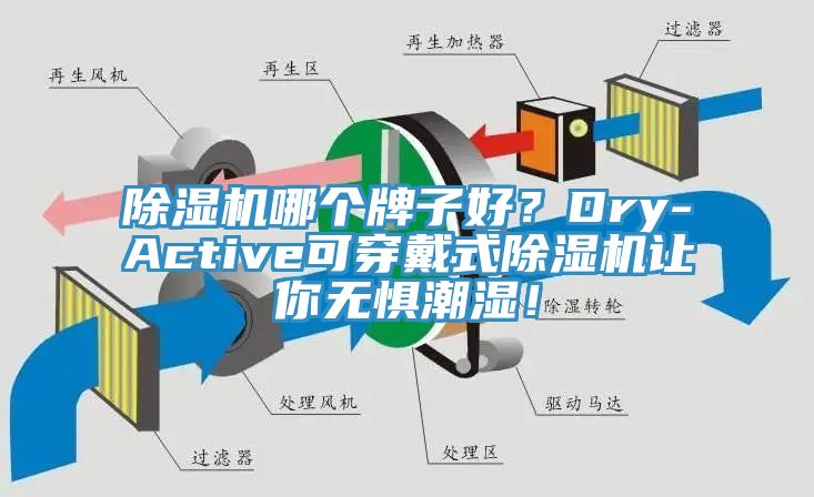 除濕機(jī)哪個牌子好?Dry-Active可穿戴式除濕機(jī)讓你無懼潮濕!