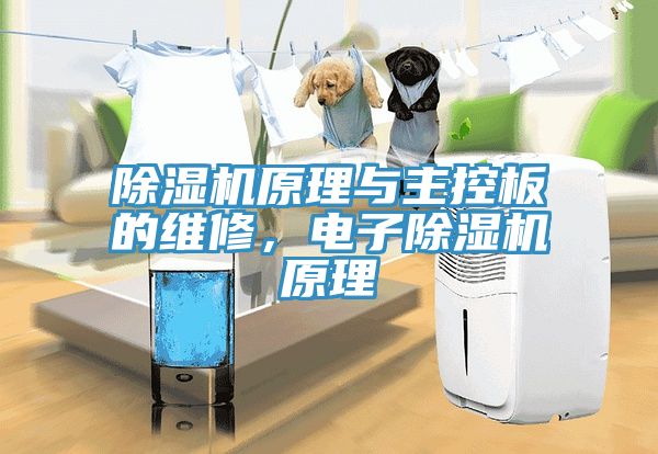 除濕機原理與主控板的維修,電子除濕機原理