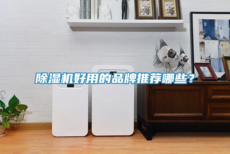 除濕機好用的品牌推薦哪些？