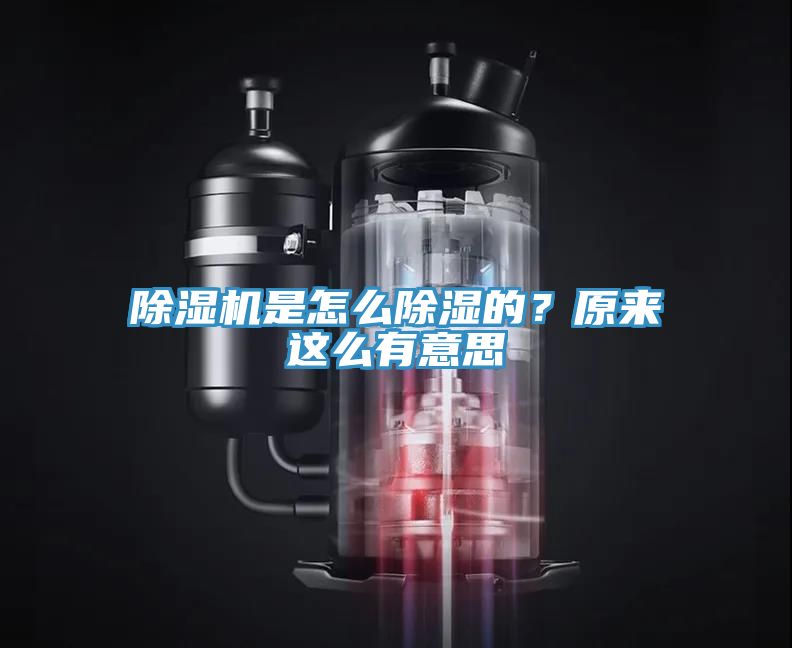除濕機是怎么除濕的？原來這么有意思