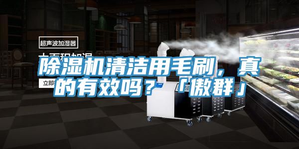 除濕機清潔用毛刷，真的有效嗎？「傲群」