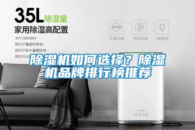 除濕機如何選擇？除濕機品牌排行榜推薦