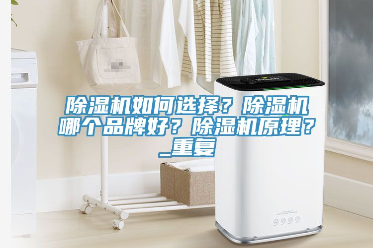 除濕機如何選擇？除濕機哪個品牌好？除濕機原理？_重復
