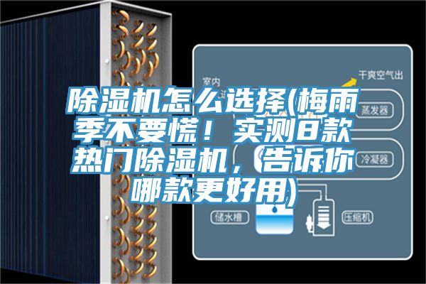 除濕機怎么選擇(梅雨季不要慌!實測8款熱門除濕機,告訴你哪款更好用)